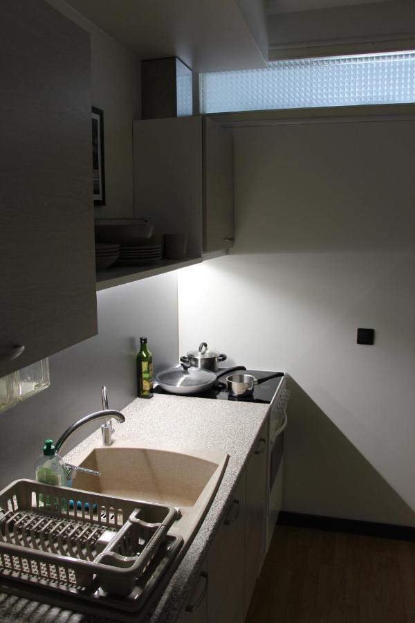 New Modern 4-Room Apartment With Big Balcony And Undeground Parking In Center Of تالين المظهر الخارجي الصورة